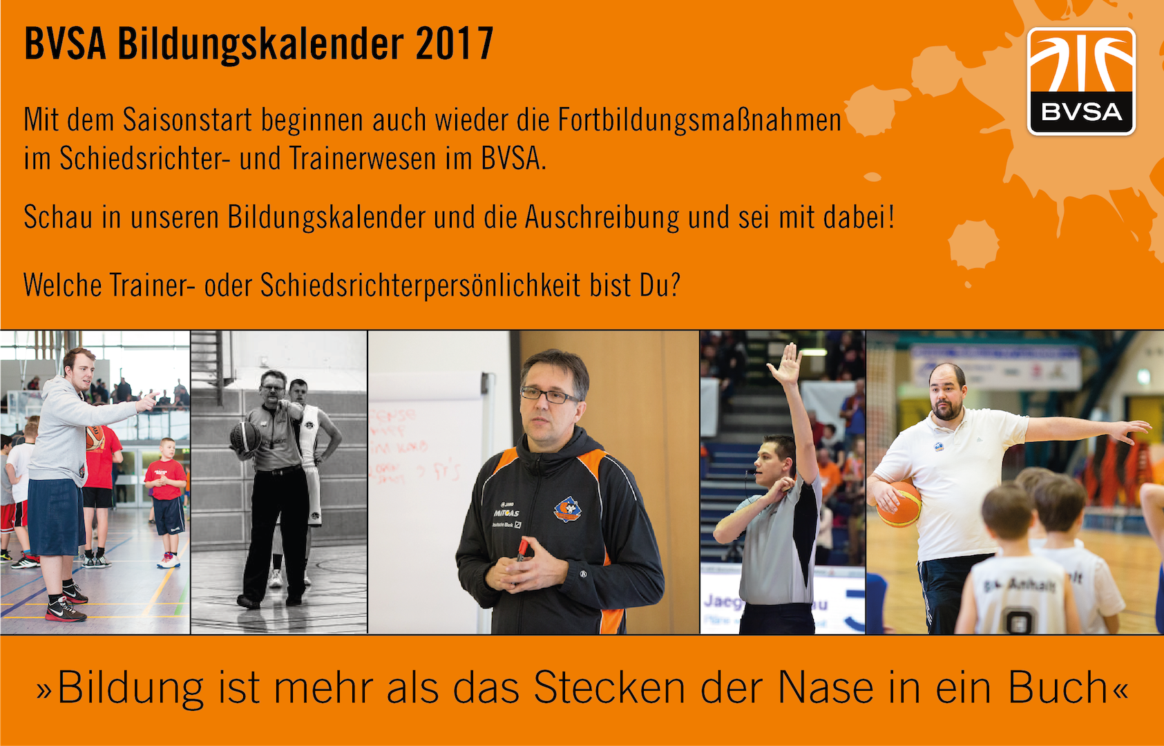 Die Bildungsangebote im BVSA für das zweite Halbjahr 2017 sind veröffentlicht. 